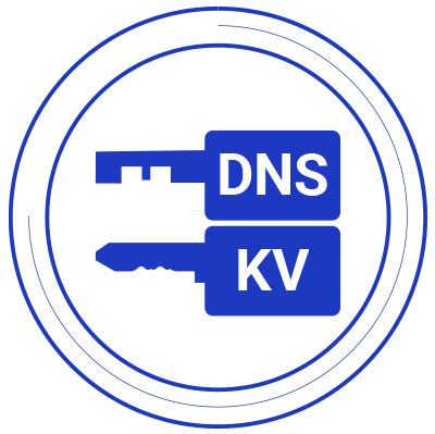 dnskv.com